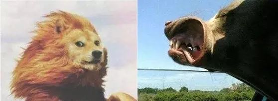 ?自動感應門常開關不上怎么辦